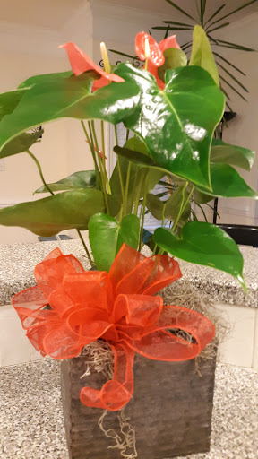 Florist «Flowers and Gifts of Rocky Mount Inc.», reviews and photos, 3026 Sunset Ave, Rocky Mount, NC 27804, USA
