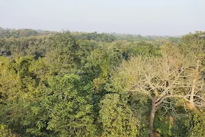 Satchori National Forest Watch Tower And Butterfly Garden image