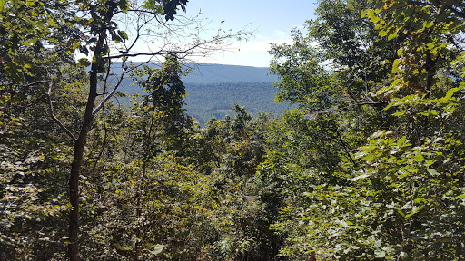 Motorcycle Dealer «Stoney Creek Cycles», reviews and photos, 1864 Riverview Rd, Dauphin, PA 17018, USA