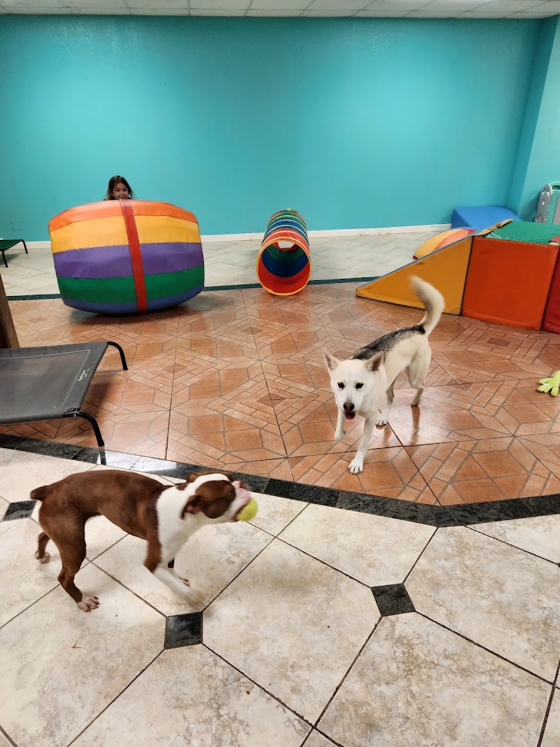 Boarding and Daycare by South Bark Grooming