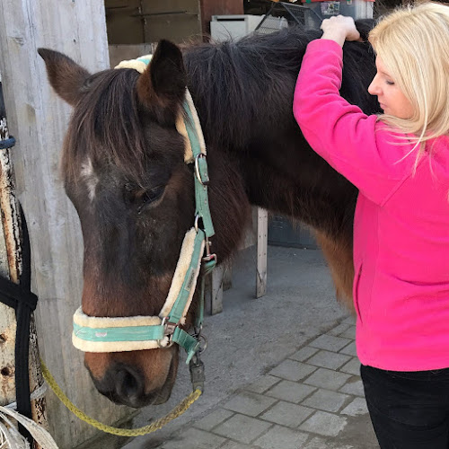 Rezensionen über Tier Physiotherapie Anita van der Klooster in Allschwil - Physiotherapeut