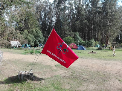 Grupo Guias y Scouts Mollfunpeñi