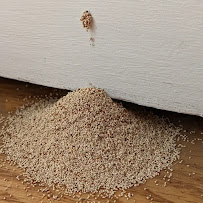 Alpha Termite - Photo 5 - Car repair in Tarzana, CA, Simi Valley