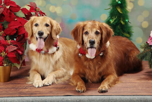 7131 Cahill Ave, Inver Grove Heights, MN 55076, USA