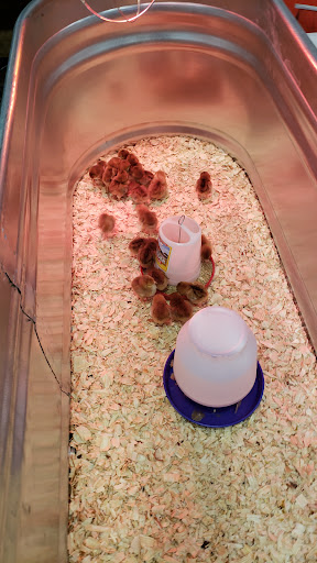 Animal Feed Store «Town-N-Country Farm & Pet Supply», reviews and photos, 59 GA-212, Monticello, GA 31064, USA