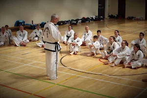 Elite Taekwondo Academy image