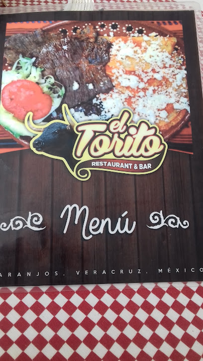 Restaurant Y Bar El Torito - 92420 Chinampa de Gorostiza, Veracruz, Mexico