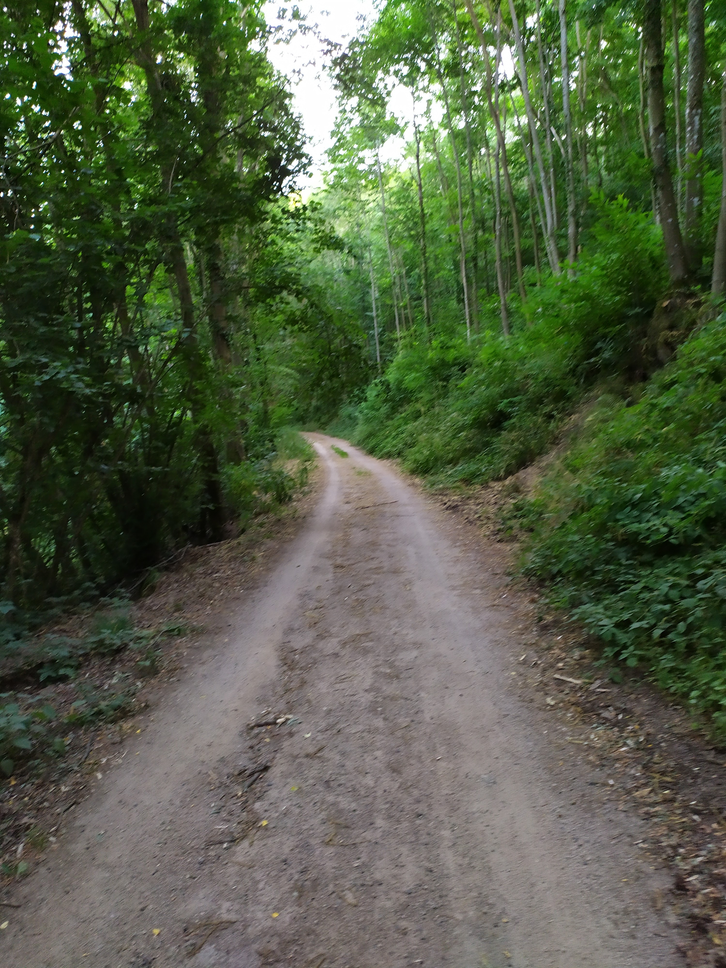 Photo n° 18 de l'avis de giuliani.a fait le 20/07/2019 à 00:13