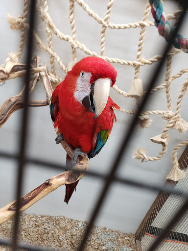 Pet Store «Fin-N-Feather», reviews and photos, 2931 F St, Eureka, CA 95501, USA