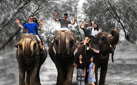EleRides - Elephant Ride in Jaipur image