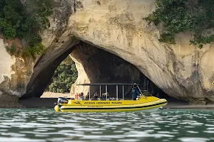 Ocean Leopard Tours Cathedral Cove Boat Tour image