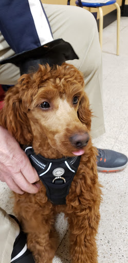 Pet Supply Store «PetSmart», reviews and photos, 1112 Town Square Rd, Pottstown, PA 19465, USA