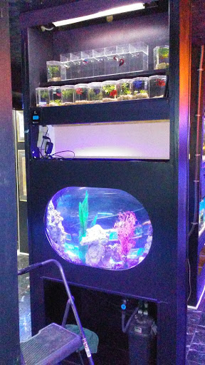 Aquarium «Crystal Reef Aquariums», reviews and photos, 311 Pass Rd, Gulfport, MS 39507, USA