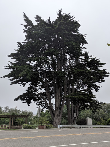 Park «Mary Harrington Park», reviews and photos, 201 Dolliver St, Pismo Beach, CA 93449, USA