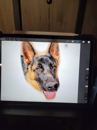 Explore bay area tattoo ideas, creative tattoo ideas in Kalispell, available at Swindler Ink