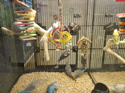 Pet Supply Store «PetSmart», reviews and photos, 16514 SW 88th St, Kendall, FL 33196, USA