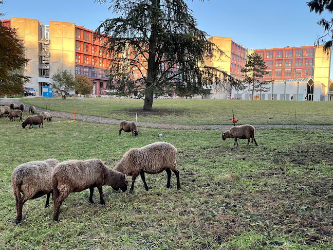 Rezensionen über UNIL - Anthropole in Lausanne - Universität