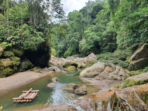 Cascada de Carpishuyacu