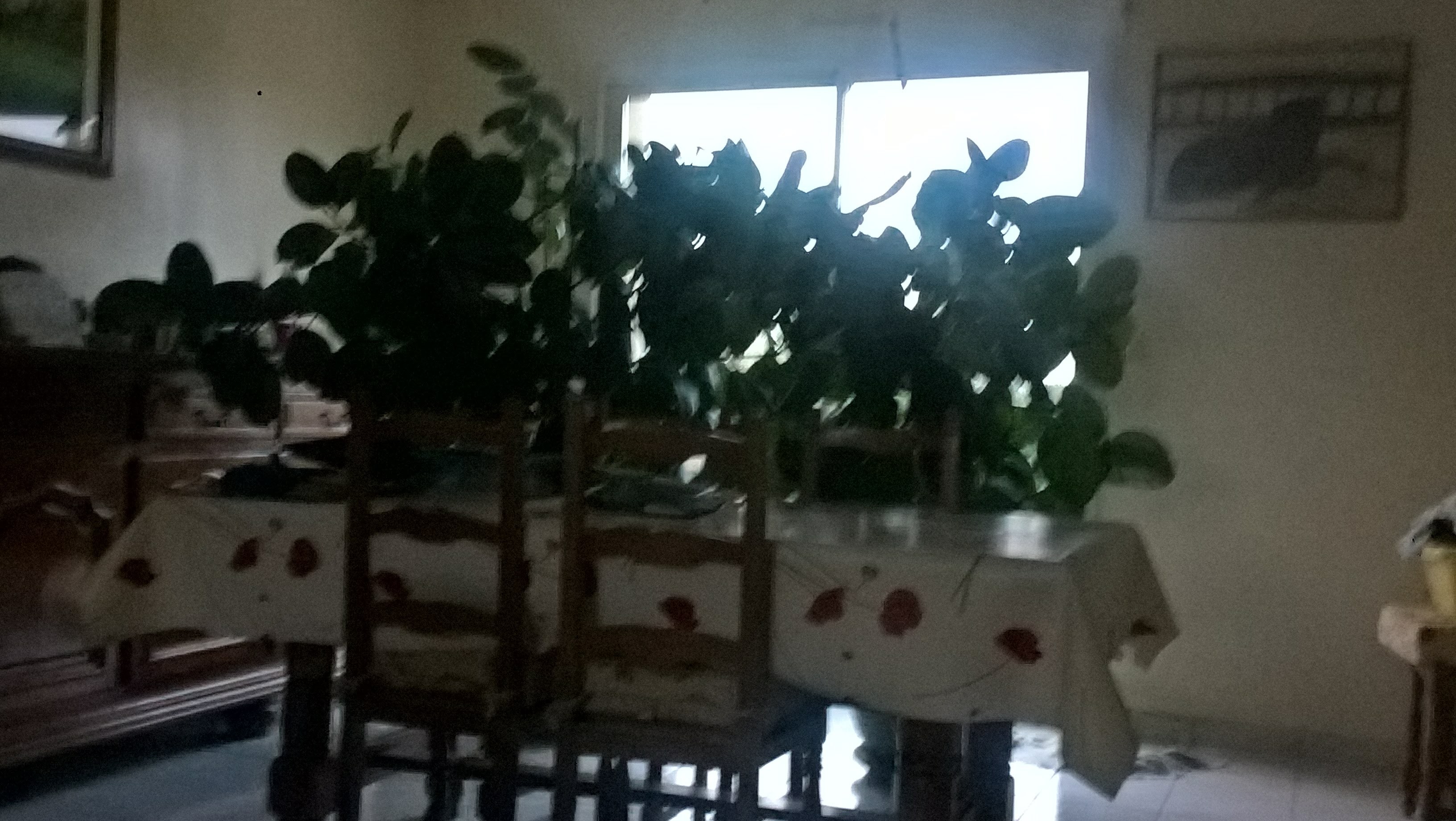 Photo n° 1 de l'avis de paulette.h fait le 24/05/2019 à 08:47