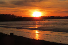 Mason Neck State Park