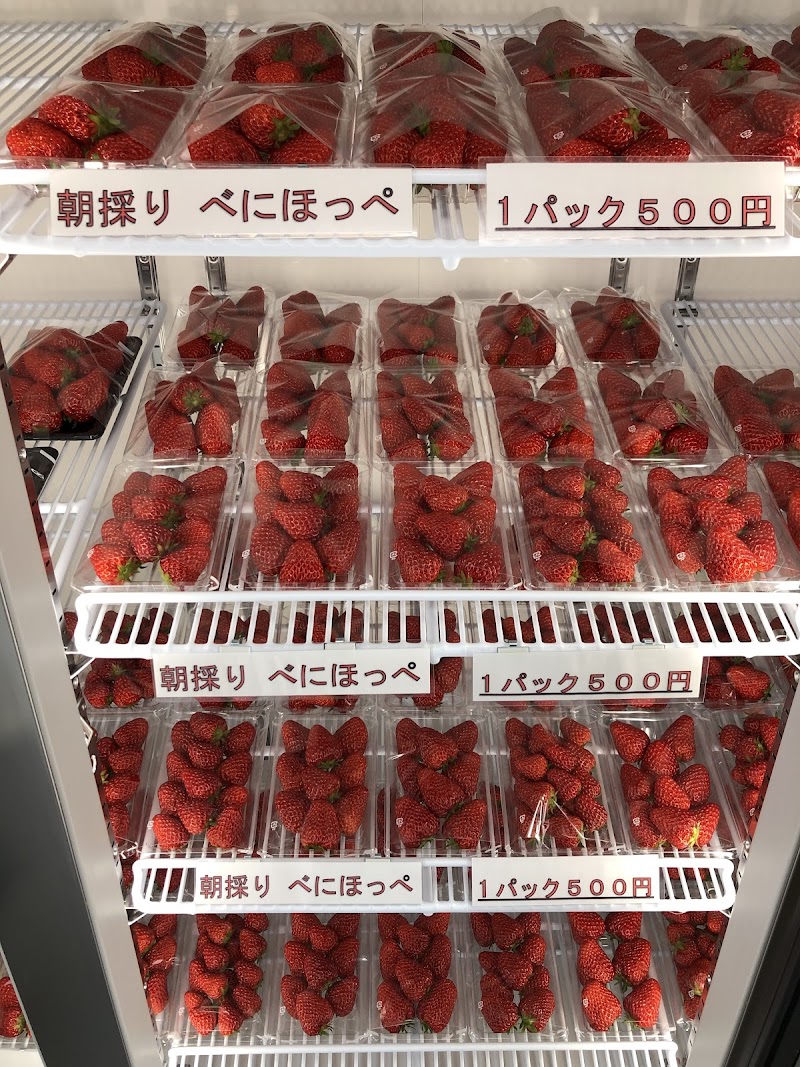 北上いちご園出張産直所常盤台店