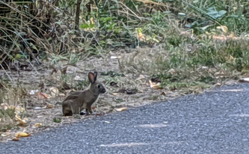 Park «Vista Brook Park», reviews and photos, 6697 SW 88th Ave, Portland, OR 97223, USA