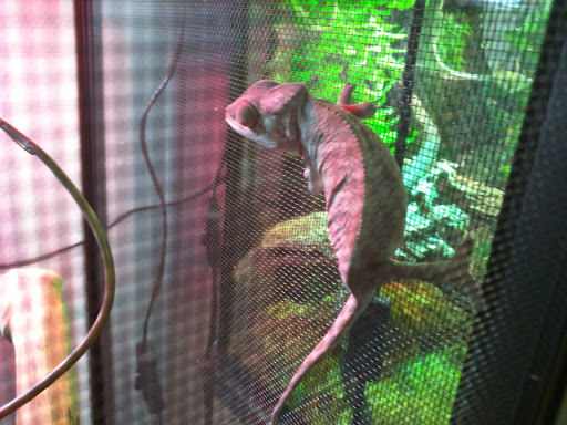 Garden Center «A W Brown Pet & Garden», reviews and photos, 144 Shaker Rd, East Longmeadow, MA 01028, USA