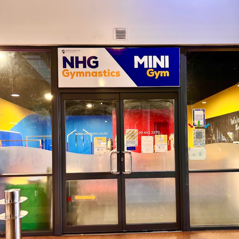 NHG Gymnastics Mini Gym