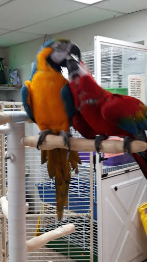 Pet Store «Feed-Rite Pet Supply», reviews and photos, 2979 Fort St, Lincoln Park, MI 48146, USA