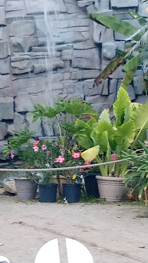 Ice Cream Shop «The Island Muncie», reviews and photos, 400 W McGalliard Rd, Muncie, IN 47303, USA