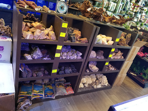 Tropical Fish Store «Aquatic Wildlife Co», reviews and photos, 70 Buckland Rd, South Windsor, CT 06074, USA