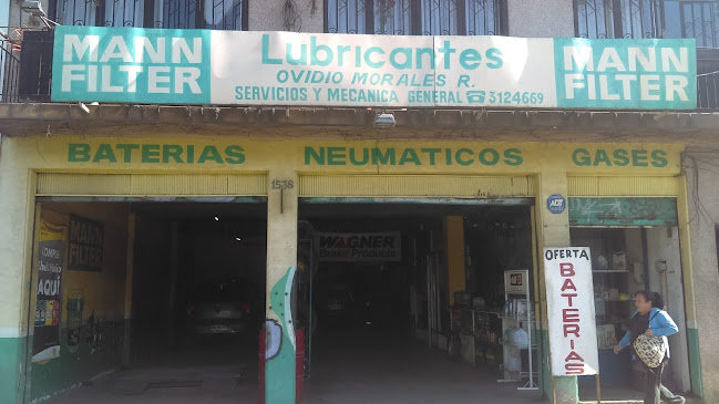 Opiniones de Taller mecánico y venta de neumáticos Ovidio Morales en Pedro Aguirre Cerda - Taller de reparación de automóviles