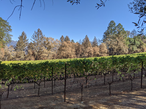 Winery «Schramsberg Vineyards», reviews and photos, 1400 Schramsberg Rd, Calistoga, CA 94515, USA