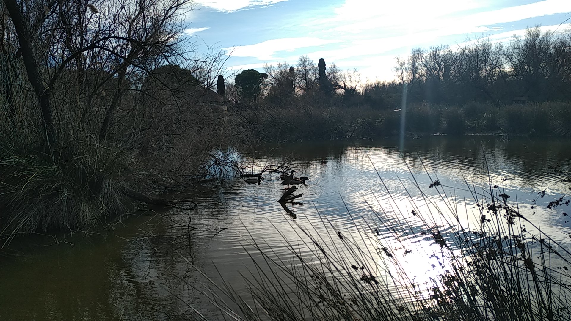 Photo n° 5 de l'avis de Thierry.o fait le 28/01/2021 à 05:09