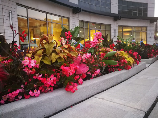 Shopping Mall «Burr Ridge Village Center», reviews and photos, 701 Burr Ridge Pkwy, Willowbrook, IL 60527, USA