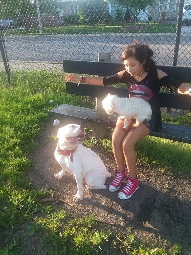 Park «Scottsdale Park», reviews and photos, 4637 W 83rd St, Chicago, IL 60652, USA