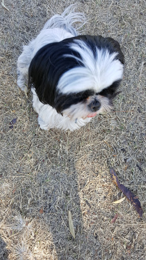 Park «Paradise Valley Park», reviews and photos, 17642 N 40th St, Phoenix, AZ 85032, USA