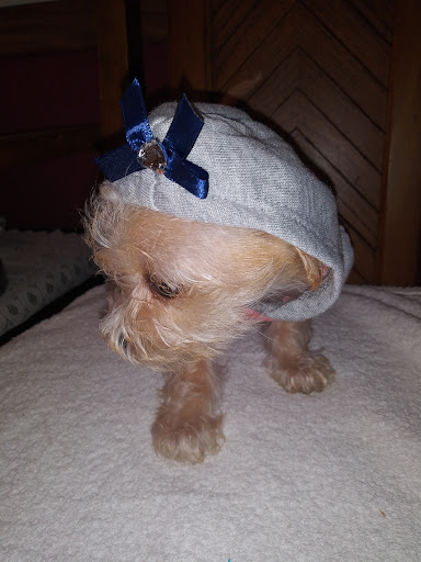 Pet Supply Store «Pet Supplies Plus», reviews and photos, 803 Hillcrest Rd, Mobile, AL 36695, USA