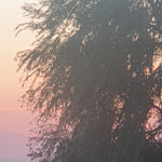 Photo n°4 de l'avis de Anja.a fait le 14/08/2020 à 17:42 sur le  Zur Kleinen Meerjungfrau à Dranske