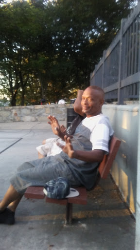 Park «Horatio Harris Park», reviews and photos, 85 Harold St, Boston, MA 02119, USA