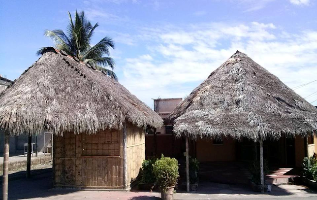 TIZON DE LAGO - Nueva Loja