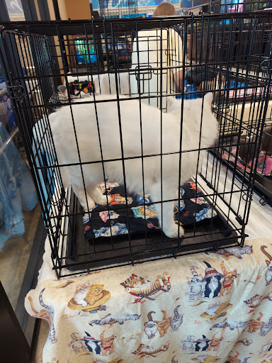 Pet Supply Store «PetSmart», reviews and photos, 300 N Congress Ave, Lake Park, FL 33403, USA