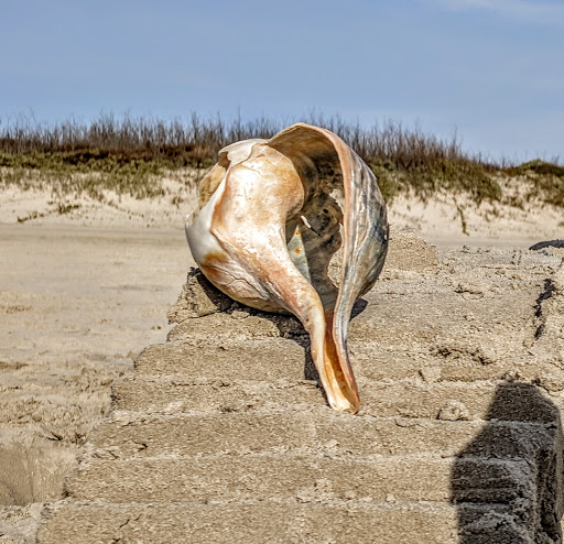 Golf Club «Palmilla Beach Golf Club», reviews and photos, 258 Snapdragon, Port Aransas, TX 78373, USA