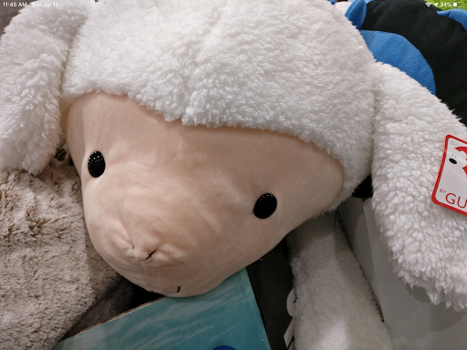 Costco Wholesale image