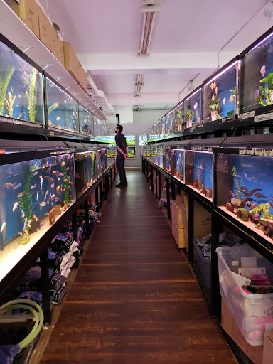 Pet Supply Store «Wet Spot Tropical Fish», reviews and photos, 4310 NE Hancock St, Portland, OR 97213, USA