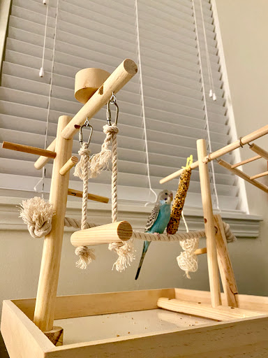 Pet Supply Store «Mellisa’s PET DEPOT», reviews and photos, 83 Faunce Corner Mall Rd, Dartmouth, MA 02747, USA