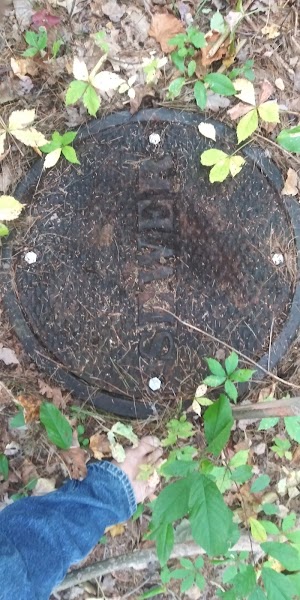 Choate Park - photo 86