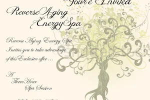 RANES Reverse Aging Energy Spas 99.99% Germ Free Health Spa! image