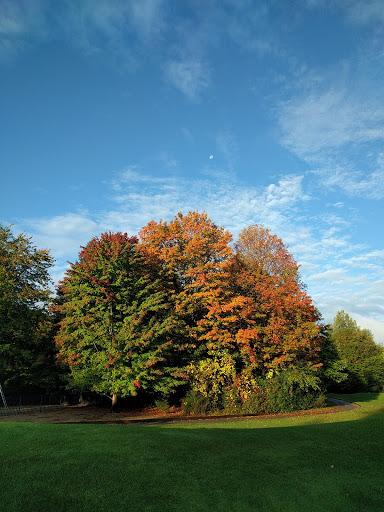 Golf Course «Copper Creek Golf Course», reviews and photos, 27925 Golf Pointe Blvd, Farmington Hills, MI 48331, USA