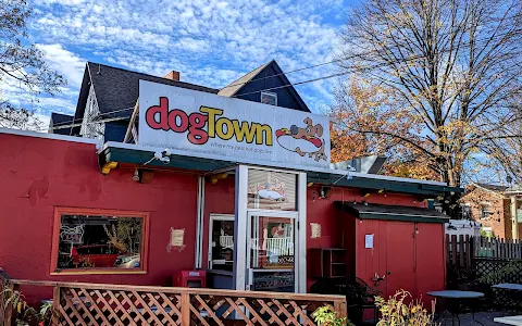 Dogtown image